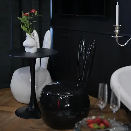 Διαμέρισμα Krak-off - Bdsm Old Town (adults Only) Krasków